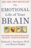 The_emotional_life_of_your_brain