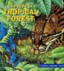 Explore_a_tropical_forest