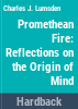 Promethean_fire