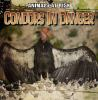 Condors_in_danger