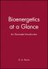 Bioenergetics_at_a_glance